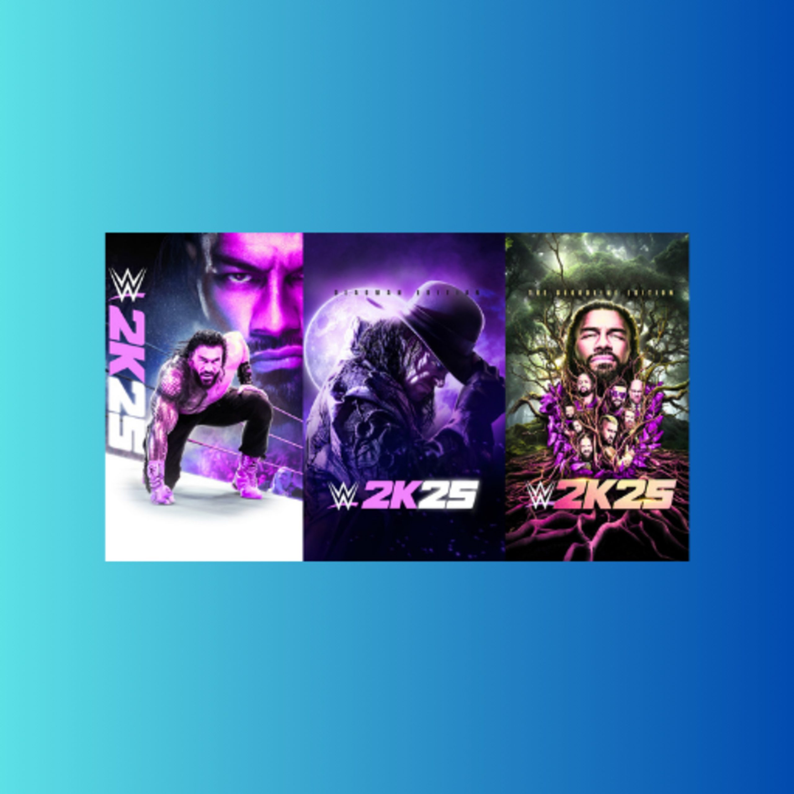 WWE 2K25 Netflix Edition App Download For Android 1