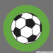 Futbol Libre TV App