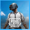 PUBG Cross Platform