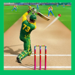 Longest Cricket Game