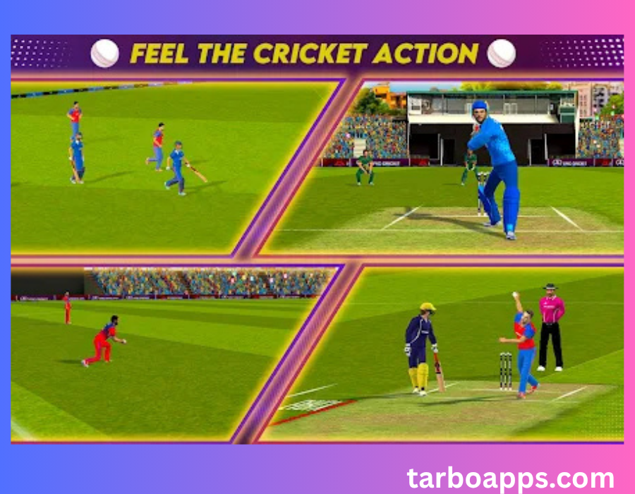 longest-cricket-game